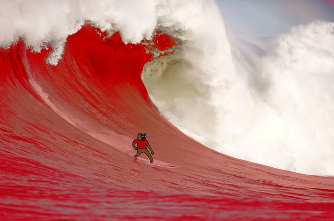 The image features a surfer riding a large, red wave in the ocean. The surfer is positioned near the center of the frame, skillfully navigating the powerful wave. The background of the image is dominated by the deep blue color of the water, creating a striking contrast with the vibrant red of the wave and the surfer's attire. The caption "euphoria" suggests that the surfer is experiencing an exhilarating moment while riding the wave.