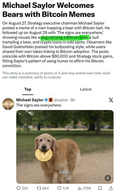 Grok AI summary titled 'Michael Saylor Welcomes Bears with Bitcoin Memes' discussing Strategy executive chairman Michael Saylor's Bitcoin meme posts, featuring a screenshot of his tweet 'The signs are everywhere' with an image of a golden retriever holding a Bitcoin coin.