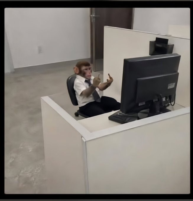 A chimpanzee wearing a white dress shirt and tie sits in an office cubicle chair at a desk, holding its hands up while facing a computer monitor.