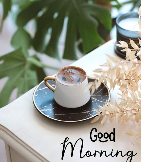 A 'Good Morning' greeting image featuring a cup of coffee on a black saucer beside a green plant and dried fern leaves.