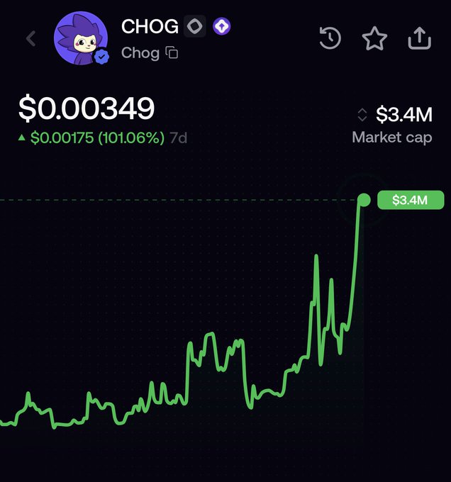 A crypto price tracker for CHOG showing a price of $0.00349 with a 101.06% gain over 7 days and a $3.4M market cap.