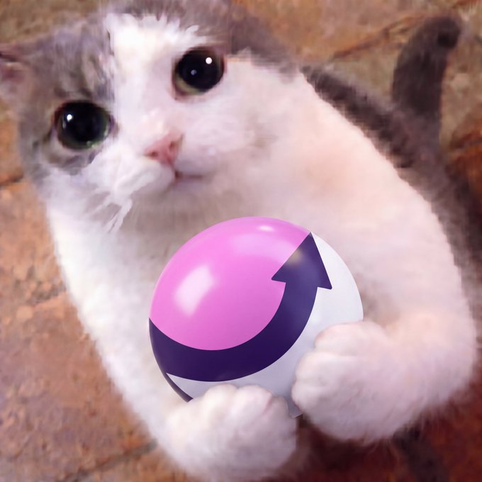 A wide-eyed white and grey kitten holds a pink and purple striped ball while looking up at the camera, paired with the post "wen moon"—the image humorously suggests a small crypto investor eagerly awaiting their token's price surge.
