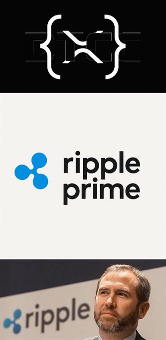 A composite image showing a coding symbol, the 'ripple prime' logo, and a photograph of Brad Garlinghouse, CEO of Ripple.
