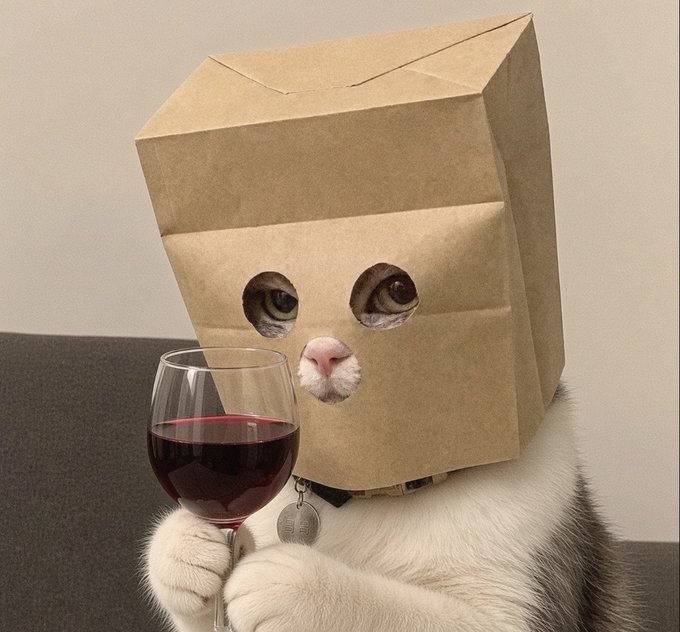A humorous image of a cat wearing a brown paper bag over its head with eye holes cut out, holding a glass of red wine.