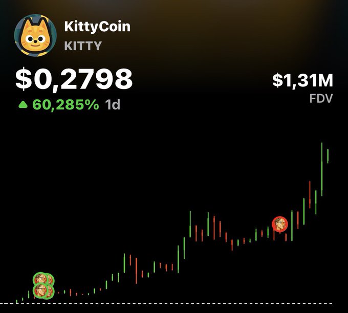 KittyCoin (KITTY) shows a staggering 60,285% price increase in 1 day, with its FDV valued at $1.31M, reflecting the statement "Ponzi most time go up" as the chart shows a sharp upward trend.