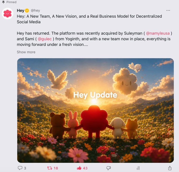 A pinned tweet from the account @hey announcing 'A New Team, A New Vision, and a Real Business Model for Decentralized Social Media,' noting the platform's acquisition by Suleyman (@namyleusa) and Sami (@gulec) from Yoginth, accompanied by an illustration of cute characters watching a sunset labeled 'Hey Update'.