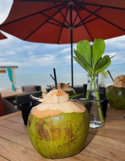 A fresh green coconut with the top cut off and a straw sits on a wooden table under an orange umbrella, with a glass vase holding green leaves and the ocean visible in the background.