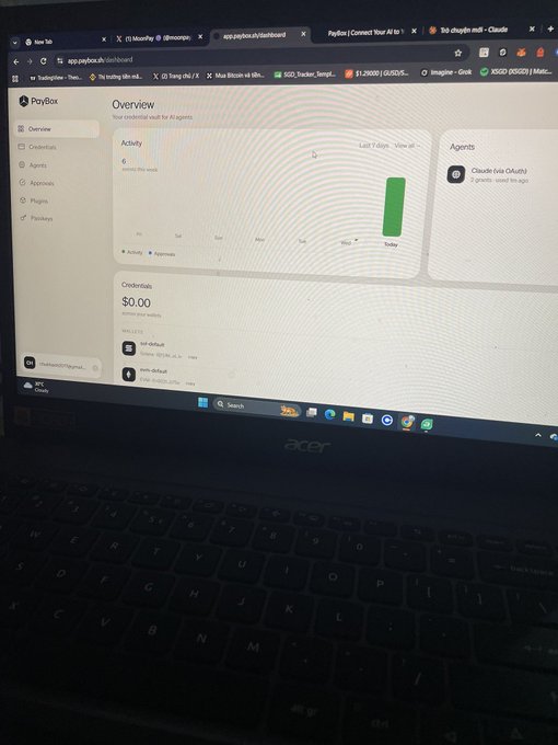 A photograph of an Acer laptop screen displaying a PayBox dashboard with an 'Overview' page showing 'Activity: 6' and a 'Credits' balance of '$0.00.'