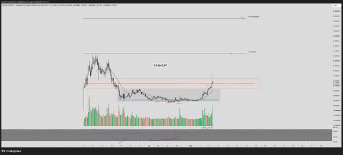 A TradingView candlestick chart of the cryptocurrency ticker CASHCAT/USDT (BSC), showing price action with a red horizontal resistance zone around 0.0300 and a marked potential target near 0.0600, paired with a volume histogram and an RSI indicator at the bottom—aligning with the post's playful "put the cash in the cat" slogan to promote the meme token.