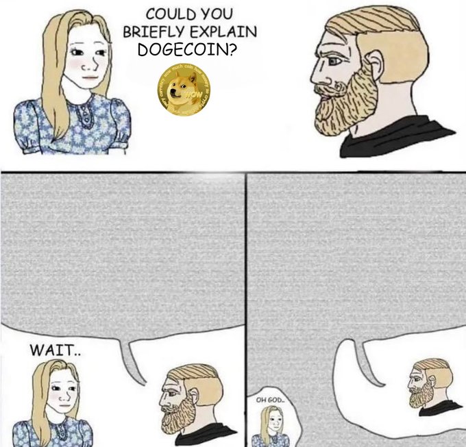 A four-panel meme features a woman asking a bearded man "COULD YOU BRIEFLY EXPLAIN DOGECOIN?" next to a Dogecoin, with the man replying "WAIT.." and the woman saying "OH GOD..".