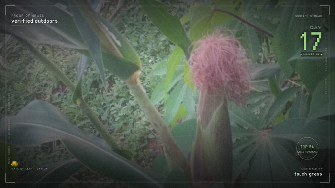 A 'Proof of Grass' digital certificate displays a flower in a garden, marked 'verified outdoors,' with 'CURRENT STREAK DAY 17' and 'TOP 5% GRASS TOUCHERS' on the right, 'CERTIFIED BY: touch grass' in the corner.