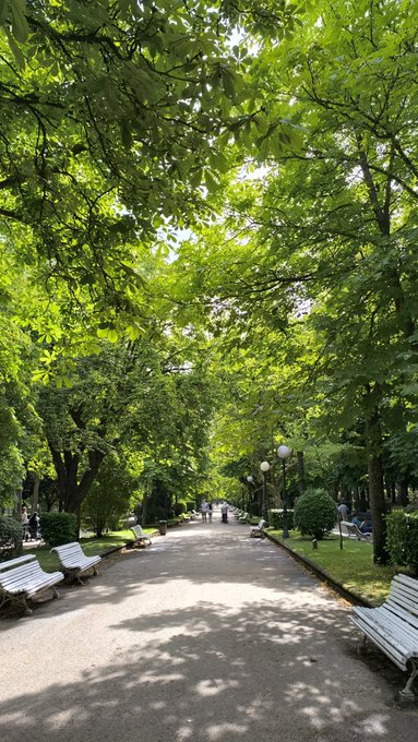 A peaceful park pathway shaded by lush green trees, lined with white benches and vintage lampposts, captures the tranquil beauty of a sunny summer day—perfectly complementing the uplifting "Life is beautiful" sentiment.