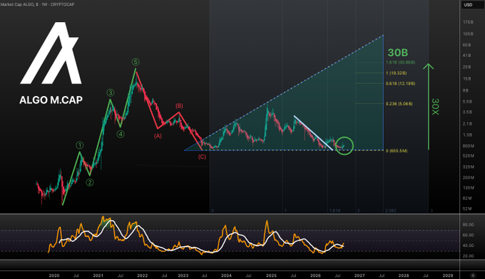 A weekly logarithmic chart of ALGO's market cap displays an Elliott Wave count labeled (1)-(5) with an ABC correction, showing a potential breakout from a 603.5M support level toward a projected 30B target (30x upside), as indicated by the ascending cyan triangle pattern. An oscillator indicator sits at the bottom, and the post's caption aligns with the chart by emphasizing that ALGO held its lows, is forming a bottom, and maintains a 30B market cap target.