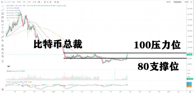 A SOL/USDT daily chart annotated in Chinese showing "比特币总裁" (Bitcoin President) with price action between support and resistance levels, featuring horizontal lines marking "100压力位" (100 resistance level) and "80支撑位" (80 support level) as the price rebounds toward the prior high around 100.