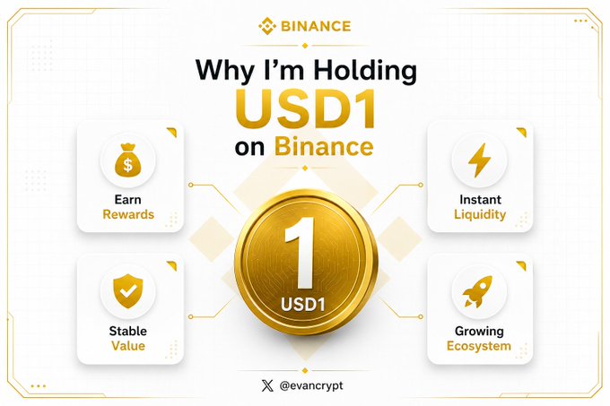 A Binance promotional graphic titled 'Why I'm Holding USD1 on Binance,' featuring a gold coin in the center surrounded by four benefit icons: Earn Rewards, Instant Liquidity, Stable Value, and Growing Ecosystem.