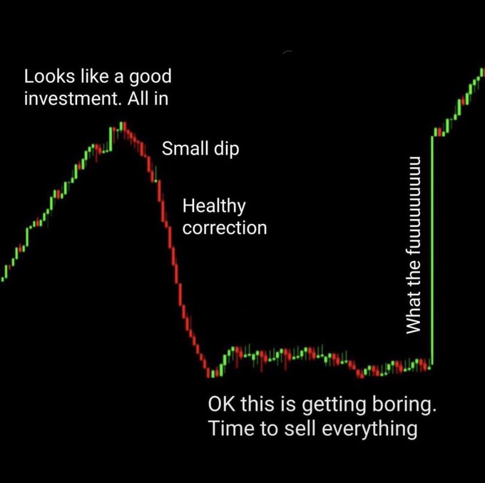 A humorous financial chart meme showing a stock price crash and recovery, labeled with stages like 'Small dip,' 'Healthy correction,' 'What the fuwuuuuu,' and concluding with 'Time to sell everything.'