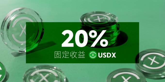 A promotional graphic with a green background showing clear coins and the text '20% 固定收益 USDX' (20% Fixed Income USDX).