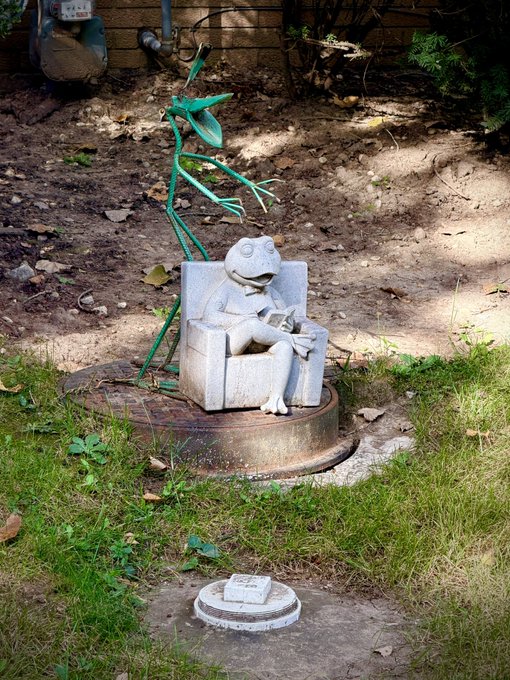 A whimsical garden statue of a frog sitting in a small armchair reading a book, accompanied by a metal sculpture of a praying mantis, sits in a dirt and grass area.