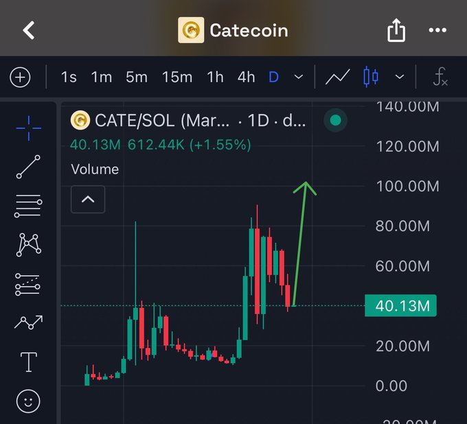 A trading chart for CATE/SOL on Catecoin shows the token trading at 40.13M with a volume of 612.44K, up 1.55%, accompanied by a green arrow pointing upward to suggest projected growth toward the post's $100M target. The bullish technical setup visually reinforces the post's claim that reaching $100M is a realistic "next checkpoint" for the growing Cate Army community.