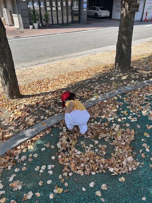 A child wearing a red plaid shirt, yellow vest, and red cap plays among piles of fallen autumn leaves in a park, with trees and a street visible in the background.

The post "GM" (Good Morning) suggests this is a cheerful morning greeting, likely sharing a sweet, seasonal moment of a child enjoying the fall foliage to start the day.