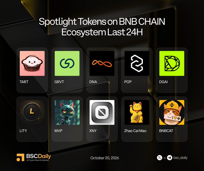 A black and gold token graphic titled “Spotlight Tokens on BNB CHAIN Ecosystem Last 24H” displays token cards including TART, GRVT, DNA, POP, DGAI, LITY, MVP, XNY, Zhai Cai Mao, and BNBCAT.
