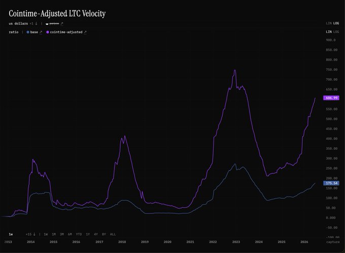 A line chart titled 'Cointime-Adjusted LTC Velocity' displaying Litecoin (LTC) velocity data in US dollars from 2013 to 2026, with the cointime-adjusted line peaking around 2022-2023 and showing recent values of 568.95 and 175.54.