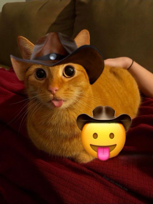 An orange cat wearing a digitally added brown cowboy hat, resting on a red blanket, with a matching cowboy hat emoji placed over it.