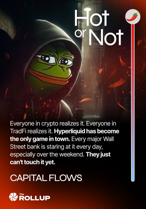 The image features a cartoon frog wearing a hoodie, with the caption "HOT or NOT" written above its head. The text below the image reads "Capital Flows".