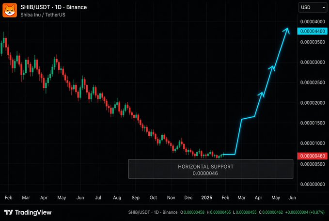 A TradingView daily chart of SHIB/USDT on Binance shows a prolonged downtrend from February through December, with price currently resting on a horizontal support zone at 0.0000046, followed by a projected upward trajectory drawn in light blue extending to roughly 0.00004400 by June—visually reinforcing the post's bullish "last chance to buy" accumulation thesis.