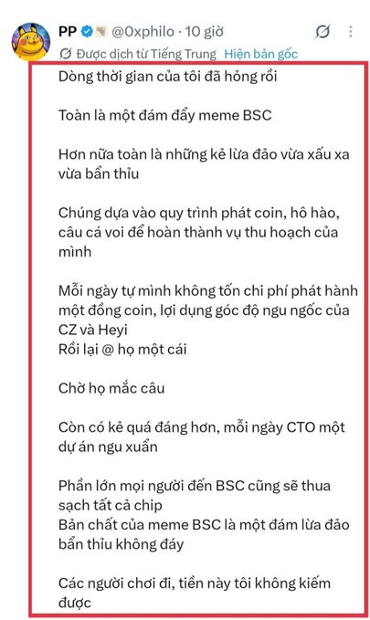 A screenshot of a tweet from user 'PP' (@Oxphilo) translated from Vietnamese, expressing frustration and labeling BSC (BSC) crypto as a 'meme scam' (meme BSC), criticizing CZ, Heyi, and CTO while calling the venture a fraud ('đám lừa đảo bán thiu').