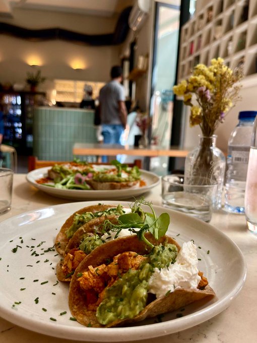A plate of three tacos filled with guacamole and topped with microgreens and sour cream sits on a cafe table, with another dish and water bottles visible in the background.