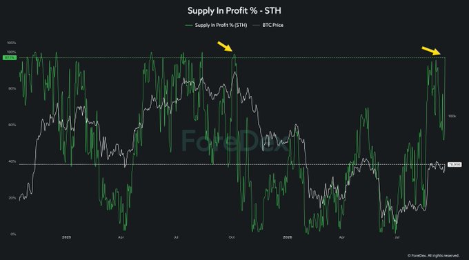 A financial chart titled 'Supply In Profit % - STH' from FoxDen, showing BTC Price in white and Supply In Profit % in green over a multi-year timeline, with yellow arrows highlighting high supply percentages near 100%.