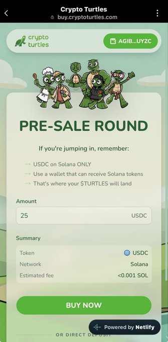 A mobile web page for 'Crypto Turtles' showing a 'PRE-SALE ROUND' with an input field for '25' USDC on the Solana network, alongside cartoon turtle mascots and a green 'BUY NOW' button.