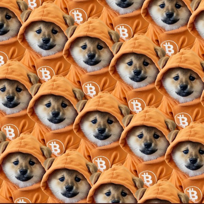 An AI-generated repeating pattern of shiba inu dogs wearing orange Bitcoin-branded hoodies.