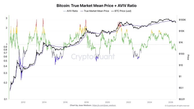 The image is a chart titled "Bitcoin: True Market Mean Price + AVIV Ratio" displaying Bitcoin's price from approximately 2011 to 2026, with the AVIV Ratio (active holder indicator) currently sitting around 0.9-1.0. The accompanying post notes that active Bitcoin holders are down 20% on average, which corresponds to the AVIV Ratio shown hovering just below the 1.0 threshold, indicating most active investors are currently holding at a loss.