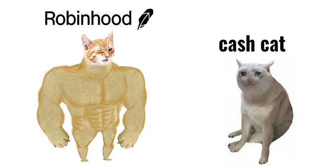 A buff cat labeled "Robinhood" stands next to a regular-looking cat labeled "cash cat," visually illustrating the meme's comparison of Robinhood's $500K valuation to cash cat's $150M market cap, humorously suggesting Robinhood is undervalued relative to its "mascot" counterpart.