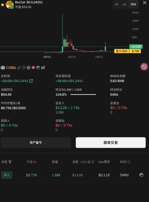 A cryptocurrency trading dashboard displays the BscCat token with a price of $0.000034251 and a market cap of $34.3K, showing a total profit of +$38.69 (+291.24%). The interface includes a price chart, holdings of 1.5M tokens (104.8%), and transaction details with a total cost of $13.28.