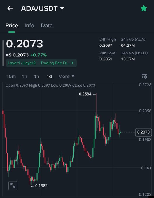 A cryptocurrency trading chart for ADA/USDT showing a price of $0.2073 (+0.77%), with a candlestick chart displaying a high of 0.2584 and a low of 0.1382.