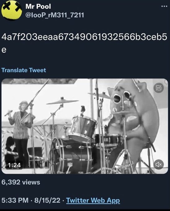 A screenshot of a tweet from user @looP_rM31I_7211 displaying a hexadecimal string and a black-and-white video thumbnail of a person playing drums alongside a person in a hamster mascot costume, viewed 6,392 times on 8/15/22.
