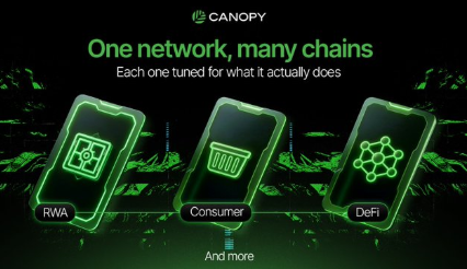 A digital advertisement for CANOPY blockchain technology reading 'One network, many chains' showing three smartphone icons labeled 'RWA', 'Consumer', and 'DeFi'.