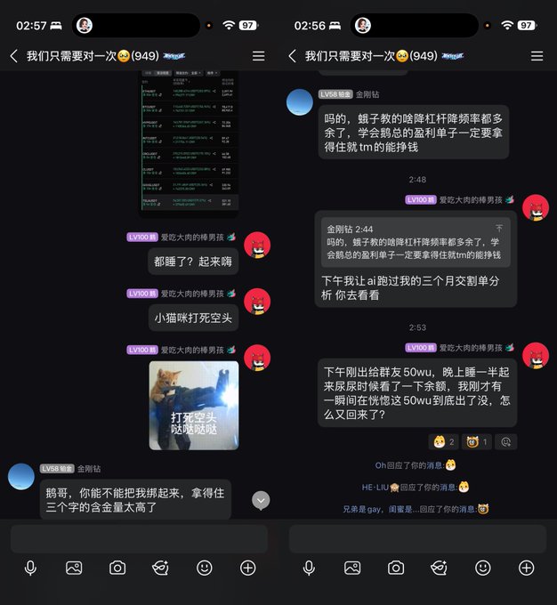 Two side-by-side screenshots of a Chinese chat conversation discuss cryptocurrency topics, with visible text mentioning 'Doge', 'Solana', '50wu', 'Bitcoin', and 'ai跑', alongside a meme image of a cat punching.