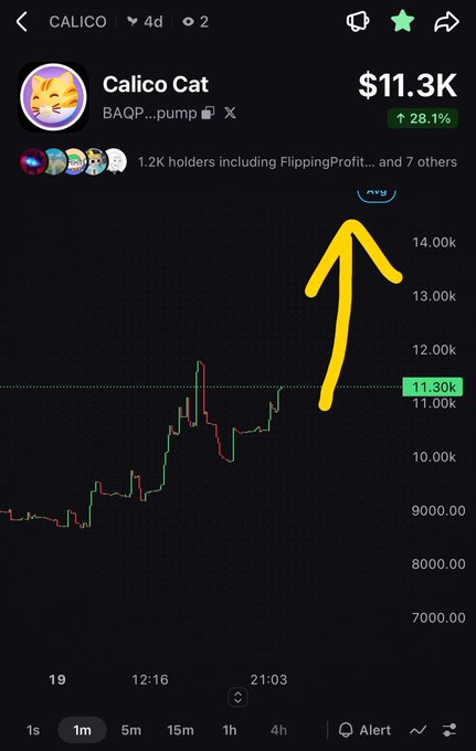 A trading app screenshot showing Calico Cat (BAQP...pump) priced at $11.3K, up 28.1%, with a candlestick chart and a hand-drawn yellow arrow pointing upward.