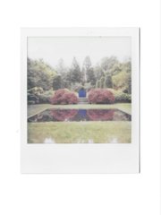 A Polaroid-style photograph of a person standing before a pond, surrounded by lush greenery and pink flowering bushes.