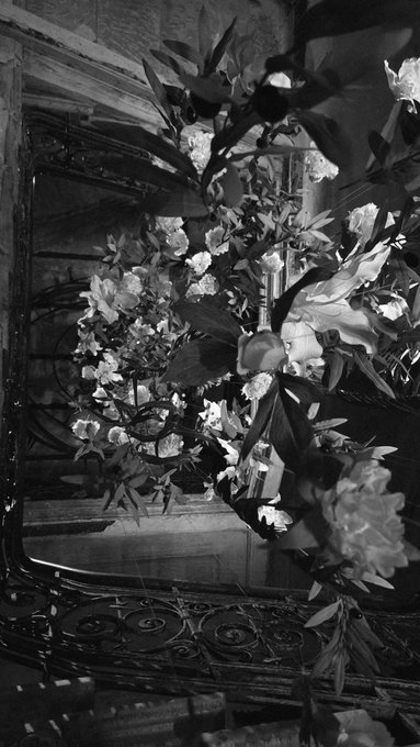 A black and white photograph of an ornate metal railing intertwined with blooming flowers and foliage.