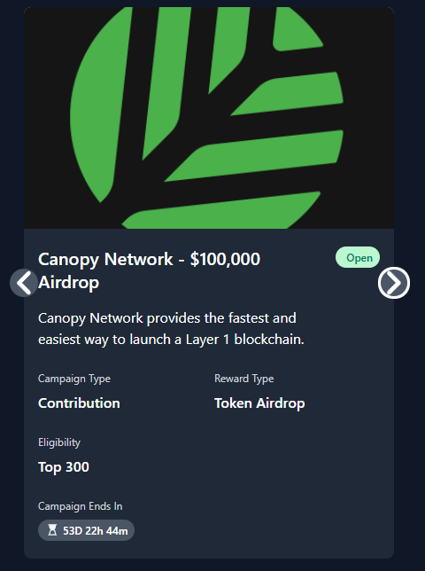 The image shows a post about a project called "@CNPYNetwork" that has been recently launched, which can be related to the $100,000 investment. The focus of this campaign seems to be on promoting the launch of a new Layer Blockchain solution. A discussion board is present in the image, indicating an ongoing conversation or feedback exchange among users.