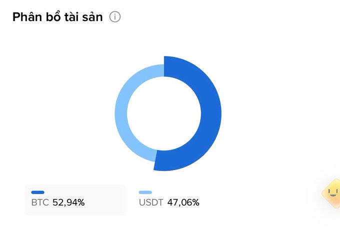 A donut chart titled 'Phân bổ tài sản' (Asset Allocation) showing a portfolio split between BTC at 52.94% and USDT at 47.06%.