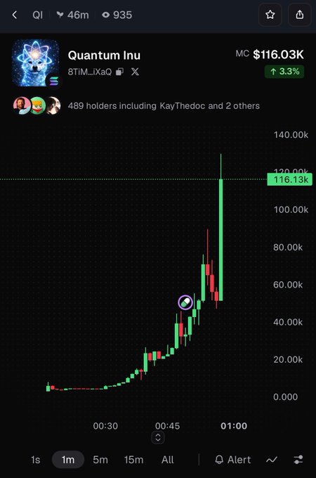 A cryptocurrency price chart for "Quantum Inu" (token 8TiM...iXaQ) showing a market cap of $116.03K with a 3.3% increase, displaying a dramatic upward price spike with 489 holders including KayThedoc.