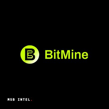 A black background with the BitMine logo in bright green and white, accompanied by 'NSB INTEL' text at the bottom.