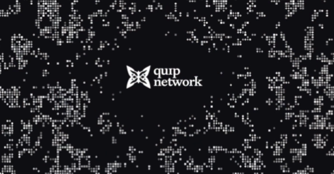 A black background featuring a field of small white squares and the white logo text 'quirp network' in the center.