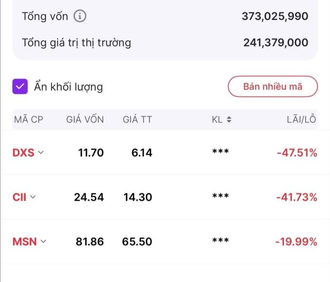 A Vietnamese stock portfolio showing total capital of 373,025,990 and market value of 241,379,000, with stocks DXS (-47.51%), CII (-41.73%), and MSN (-19.99%) showing significant losses.